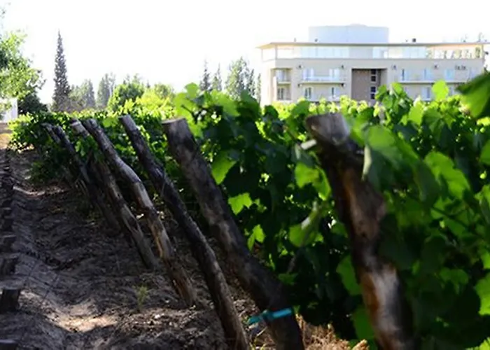 Hotel Finca Hermitage