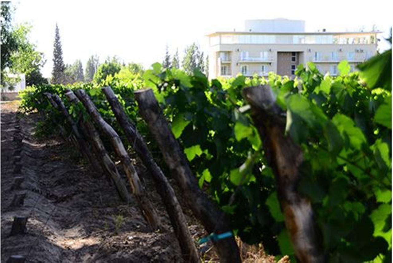 Hermitage Hotel Mendoza